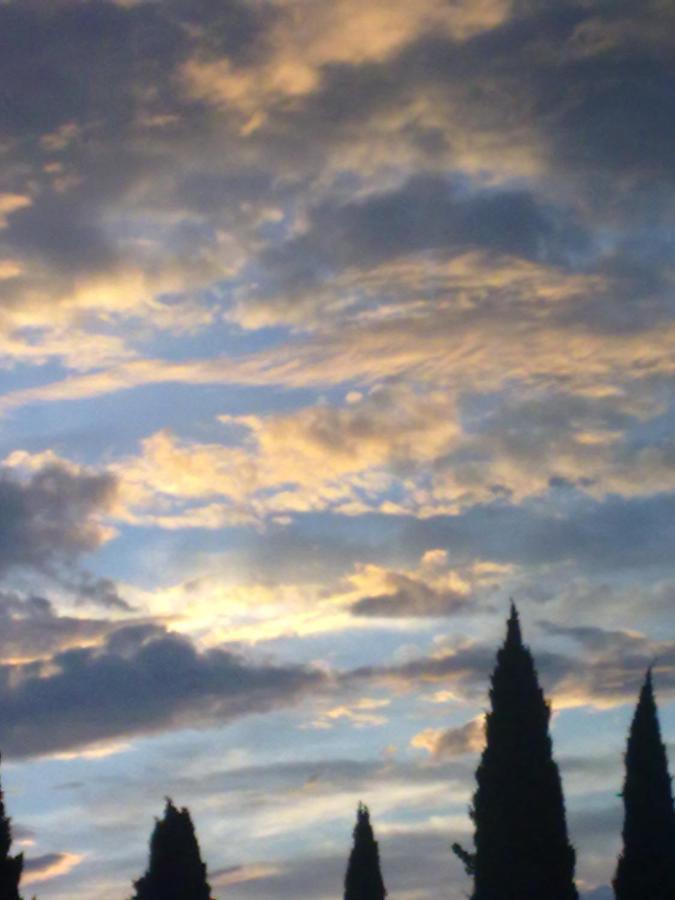 Residenza Al Sogno - On Lake Garda Cavaion Veronese Eksteriør bilde
