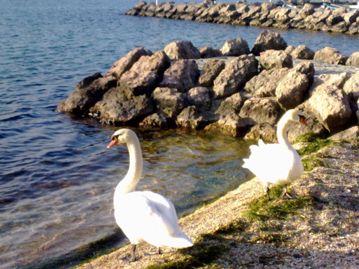 Residenza Al Sogno - On Lake Garda Cavaion Veronese Eksteriør bilde
